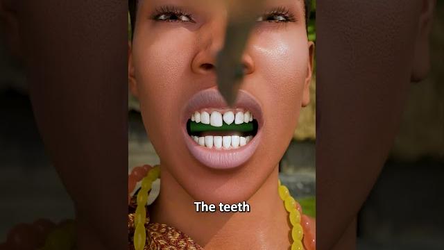 How african tribes sharpen their teeth? How african tribes sharpen their teeth?