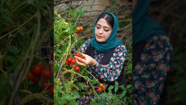#cooking parabij @rural_cuisine #cooking parabij @rural_cuisine