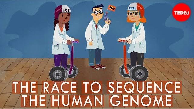 The race to sequence the human genome - tien nguyen The race to sequence the human genome - tien nguyen