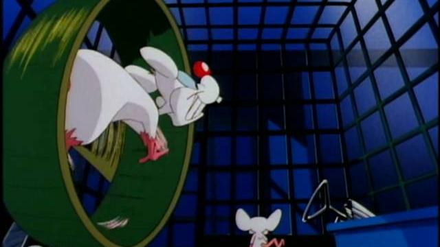 Pinky and the brain intro Pinky and the brain intro