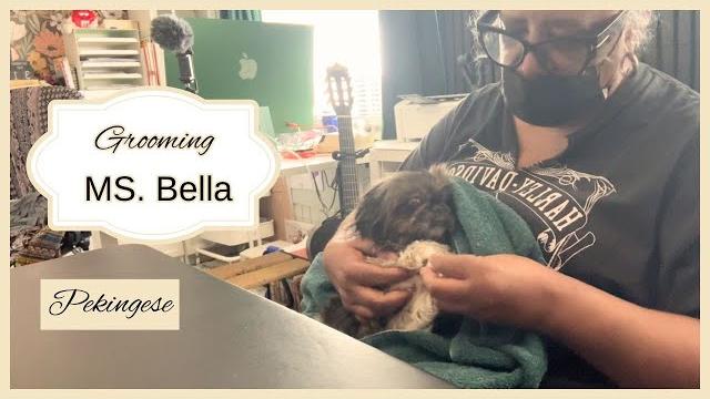 Grooming ms bella Grooming ms bella