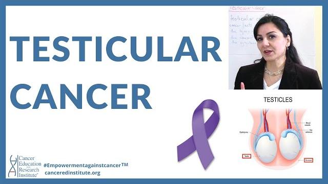 Educational cancer video: what is testicular cancer? all you need to know! | cancer ed and res inst Educational cancer video: what is testicular cancer? all you need to know! | cancer ed and res inst