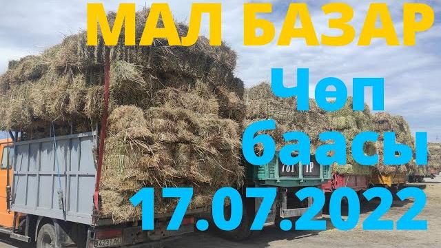 Чоптун баасы мал базар каракол 17-июль 2022 г. Чоптун баасы мал базар каракол 17-июль 2022 г.