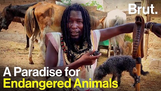 A paradise for endangered animals A paradise for endangered animals