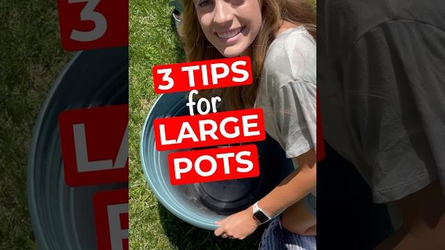 3 tips for planting large pots #greenthumb #planthack #pottedplants #plantlover #planttherapy 3 tips for planting large pots #greenthumb #planthack #pottedplants #plantlover #planttherapy