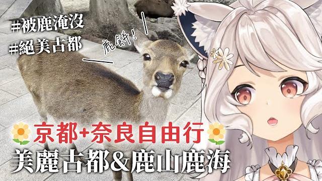 【瑪麗茶會】京都+奈良自由行開箱 被鹿淹沒啦!!! #瑪格麗特諾爾絲 #箱箱thebox#星宇航空 【瑪麗茶會】京都+奈良自由行開箱 被鹿淹沒啦!!! #瑪格麗特諾爾絲 #箱箱thebox#星宇航空