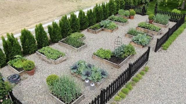 My vegetable garden layout & tour! // garden answer My vegetable garden layout & tour! // garden answer