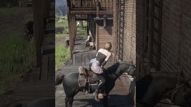 Hidden gameplay secrets in rdr2 #shorts Hidden gameplay secrets in rdr2 #shorts