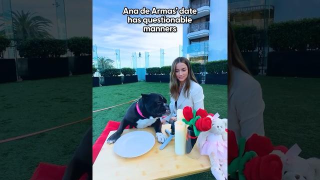 Ana de armas rates her dodo dream date | the dodo Ana de armas rates her dodo dream date | the dodo