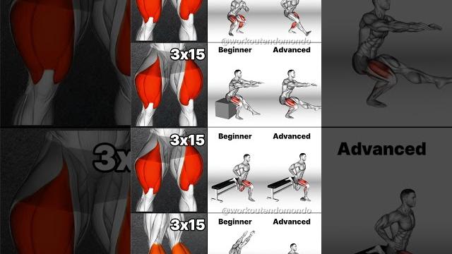 Leg workouts for all levels: beginner to advanced training! Leg workouts for all levels: beginner to advanced training!