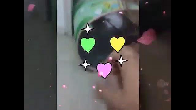 Lauren louise clara e tônia Lauren louise clara e tônia