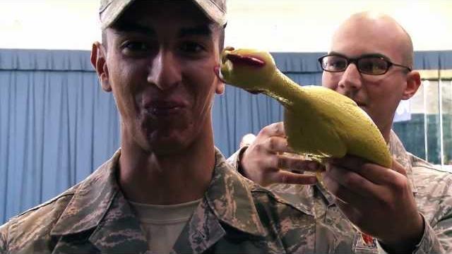 Usaf honor guard - rubber chicken bearing test Usaf honor guard - rubber chicken bearing test