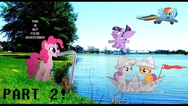 Ponies in real life part 2!!! Ponies in real life part 2!!!