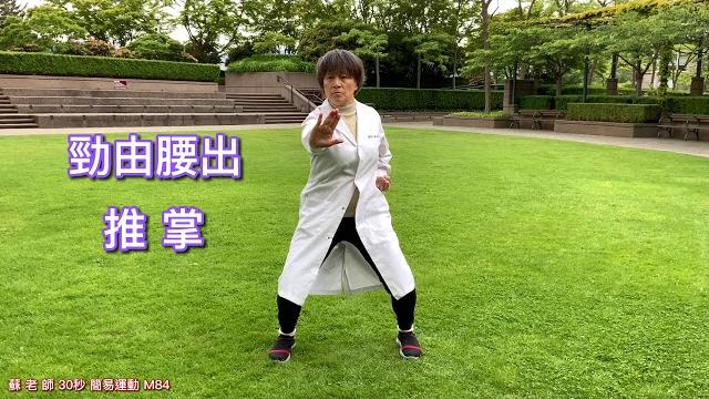 M蹲樁單推掌 M蹲樁單推掌