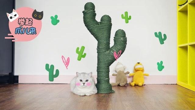 【举起爪儿来】41diy仙人掌猫抓柱 【举起爪儿来】41diy仙人掌猫抓柱