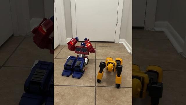 Optimus prime & bumblebee stay fit #transformers #optimusprime #bumblebee #workout #shorts #funny Optimus prime & bumblebee stay fit #transformers #optimusprime #bumblebee #workout #shorts #funny