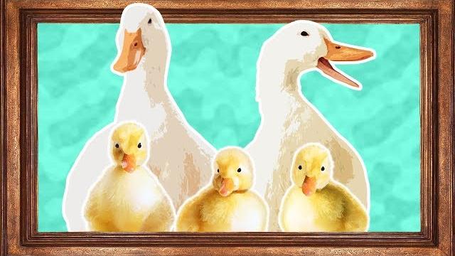 Animal parents | animals for kids | wild animal families Animal parents | animals for kids | wild animal families