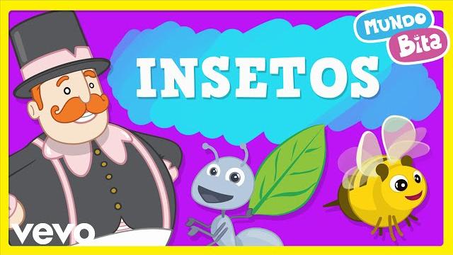 Mundo bita - insetos Mundo bita - insetos