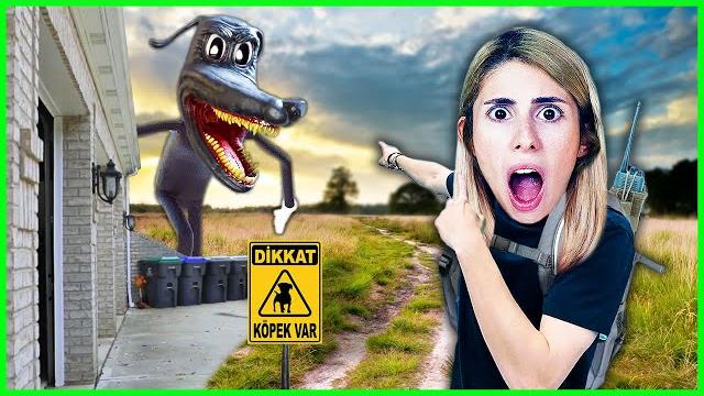 Köpeği̇m melo canavar oldu di̇la kent Köpeği̇m melo canavar oldu di̇la kent