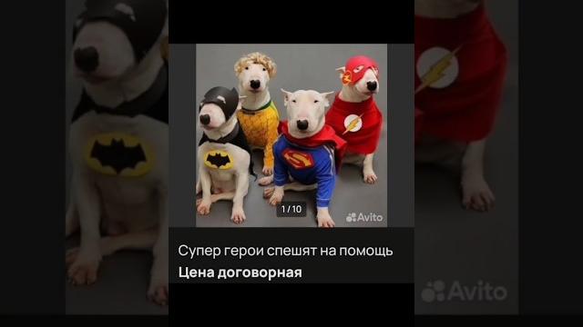 Смешные объявления с авито Смешные объявления с авито