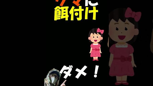 クマの為にどんぐりを持っていく奴がいるんですよ~(ガチで) #動物 #野鳥 クマの為にどんぐりを持っていく奴がいるんですよ~(ガチで) #動物 #野鳥