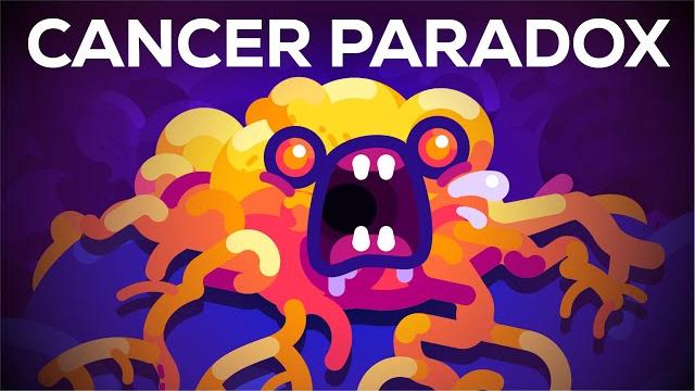 Why blue whales don't get cancer - peto's paradox Why blue whales don't get cancer - peto's paradox