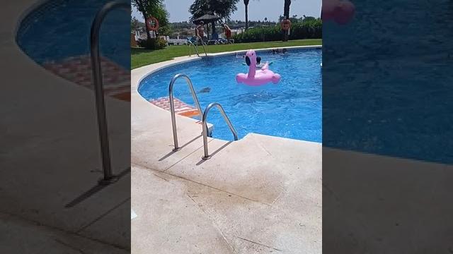 Mi niña en la piscina Mi niña en la piscina