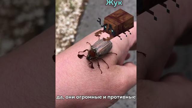 Мобы, которых нужно добавить в майнкрафт 15 Мобы, которых нужно добавить в майнкрафт 15