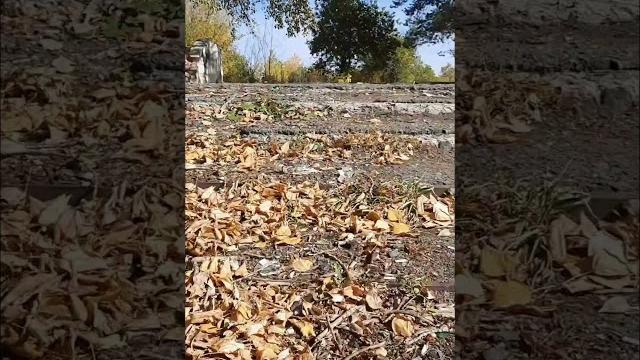 Город зовёт гулять Город зовёт гулять