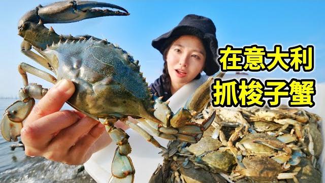 Italy flooded with blue crabs, 100 pounds caught in 2 hours, too many crabs!| italy | crabs | Italy flooded with blue crabs, 100 pounds caught in 2 hours, too many crabs!| italy | crabs |