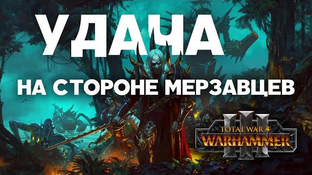 Берег вампиров. фракции total war warhammer 3 Берег вампиров. фракции total war warhammer 3