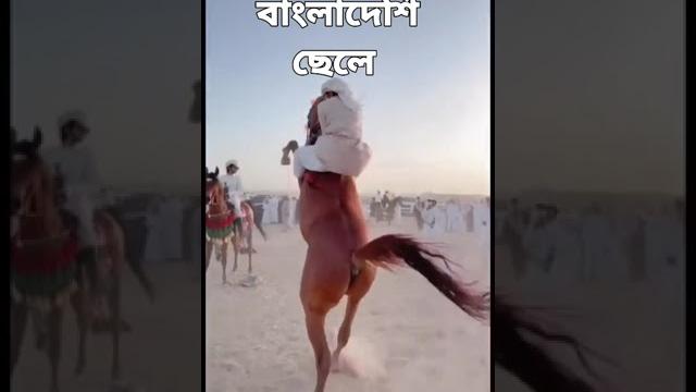 Dubai horse race 2023 bangladeshi horse rider #entertainment #intrestingfact #dubai #bangladesh #usa Dubai horse race 2023 bangladeshi horse rider #entertainment #intrestingfact #dubai #bangladesh #usa