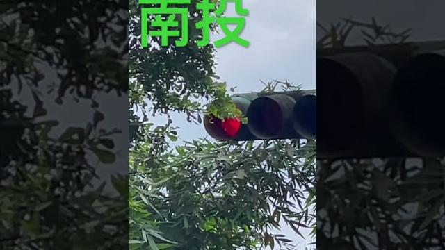 燈泡式紅綠燈 南投vs台南 燈泡式紅綠燈 南投vs台南