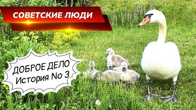 Советский менталитет. история 3, про доброе дело. Советский менталитет. история 3, про доброе дело.