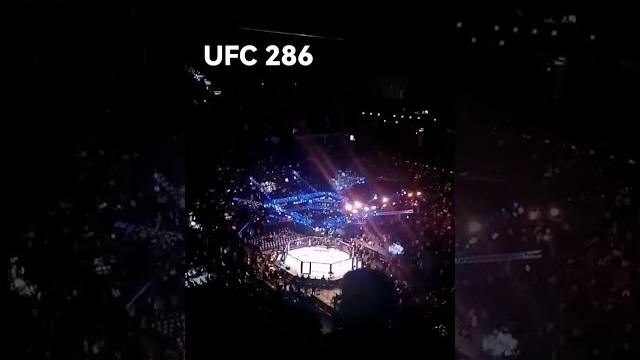 Ufc 286 #ufc #leon #ufc286 Ufc 286 #ufc #leon #ufc286