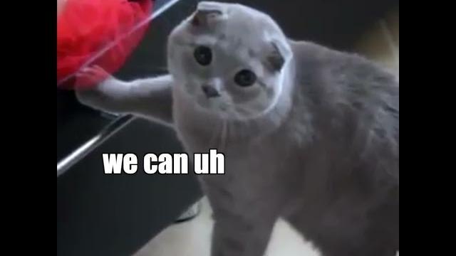 Where's my nip? Where's my nip?