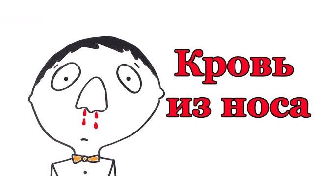 Почему идет кровь из носа? Почему идет кровь из носа?