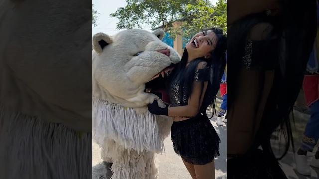 Cewek cantik teriak histeris ketika digigit can macanan Cewek cantik teriak histeris ketika digigit can macanan