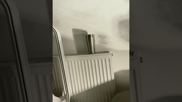 Dildo Dildo