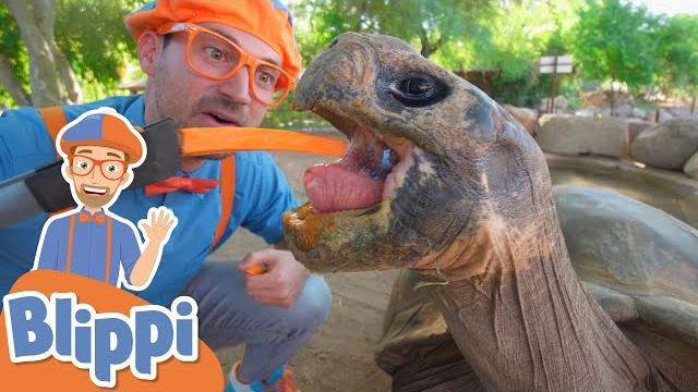 Blippi visits a zoo! | learn about animals for kids | educational videos for toddlers Blippi visits a zoo! | learn about animals for kids | educational videos for toddlers