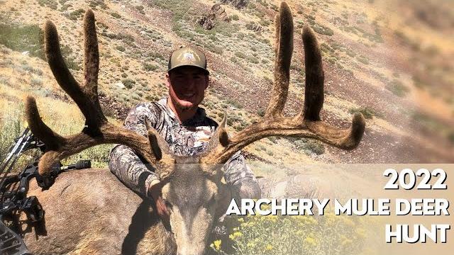 2022 nv archery mule deer hunt (50" of mass!) 2022 nv archery mule deer hunt (50" of mass!)