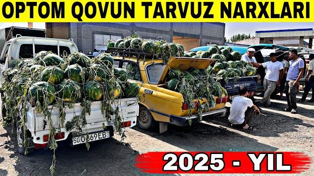 Optom qovun tarvuz narxlari 2025 sezon boshlandi andijon baliqchi qovun tarvuz bozoridan Optom qovun tarvuz narxlari 2025 sezon boshlandi andijon baliqchi qovun tarvuz bozoridan