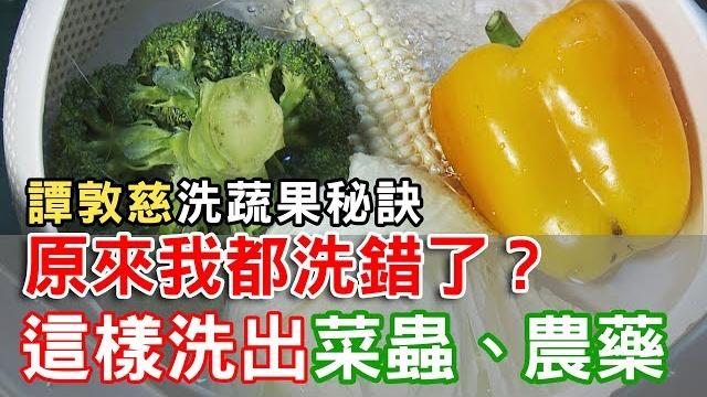 【挖健康】原來我都洗錯了!「譚敦慈洗蔬果秘訣」這樣洗出菜蟲農藥 【挖健康】原來我都洗錯了!「譚敦慈洗蔬果秘訣」這樣洗出菜蟲農藥