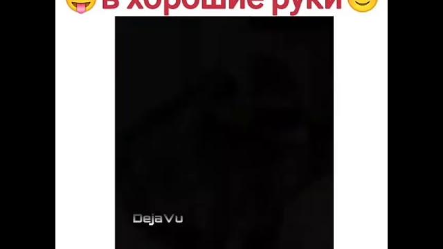 Енота в хорошие руки (заберите падлу) Енота в хорошие руки (заберите падлу)