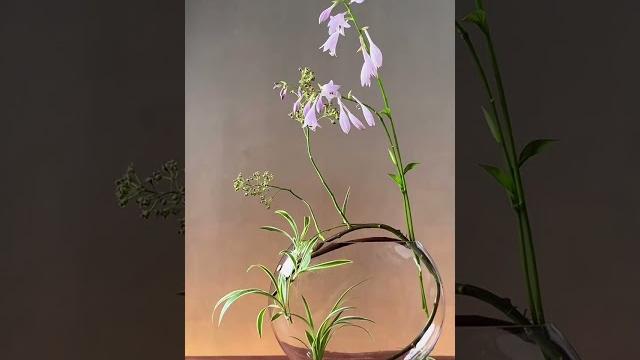 朵朵如镂雪,茎茎似插冰。 朵朵如镂雪,茎茎似插冰。