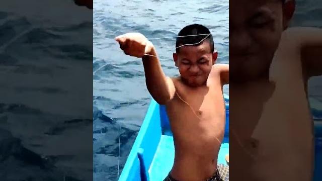 Umpan cumi satu ekor, langsung disambar ikan bubara #fishing #nelayanindonesia #mancingtradisional Umpan cumi satu ekor, langsung disambar ikan bubara #fishing #nelayanindonesia #mancingtradisional