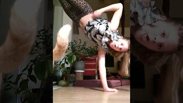 Handstand t-shirt challenge Handstand t-shirt challenge