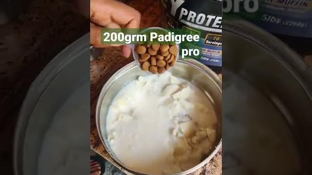 German shepherd 6 months puppy diet German shepherd 6 months puppy diet