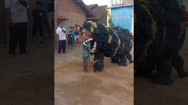 Viral detik-detik si bocil di telen macan #jaranan #terbaru #kudalumping #barongan @b.j.s.budoyo Viral detik-detik si bocil di telen macan #jaranan #terbaru #kudalumping #barongan @b.j.s.budoyo