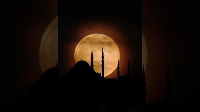 Allahu ya' lamu nasheed repeated || arabic nasheed Allahu ya' lamu nasheed repeated || arabic nasheed